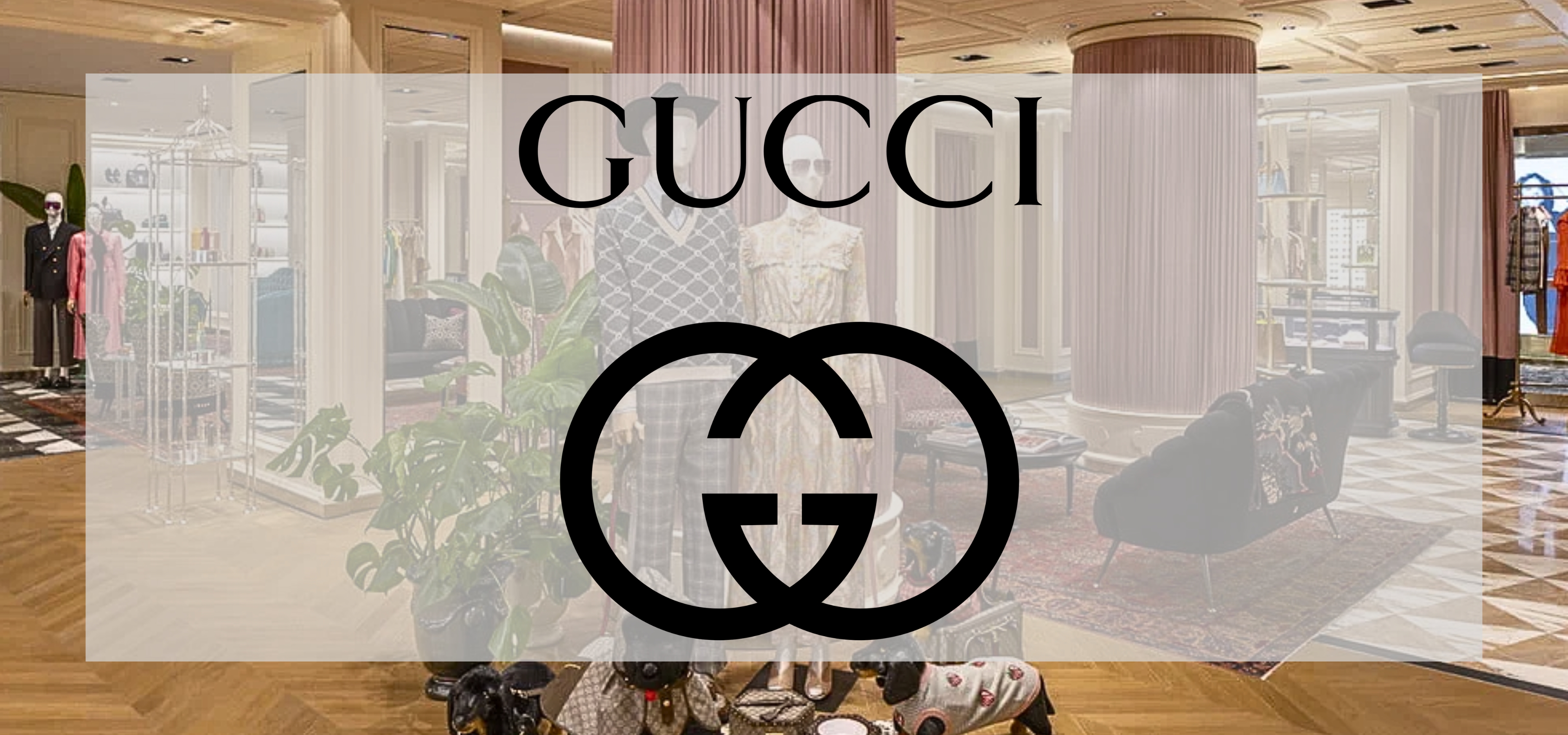 Gucci Project Image